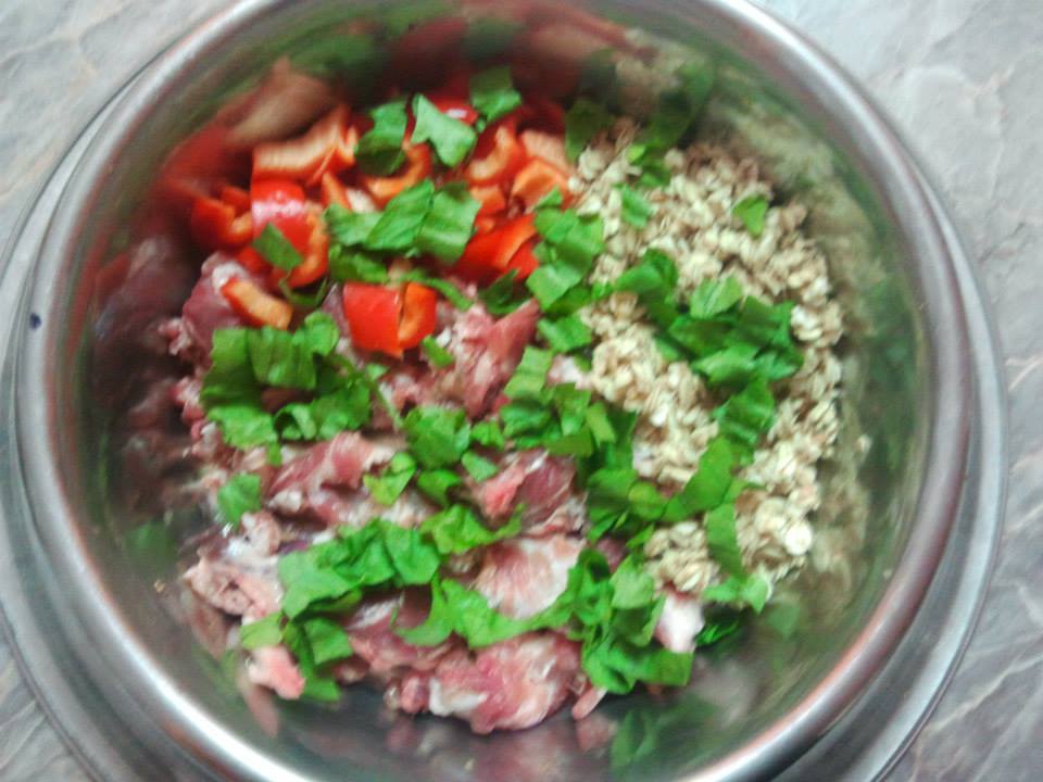 994131_10200636913559900_394681040_n